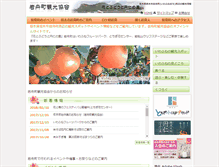 Tablet Screenshot of iwafune-kankou.com